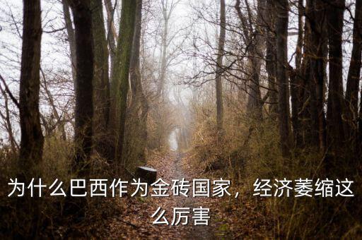 巴西經濟為什么會崩潰,經濟萎縮這么厲害