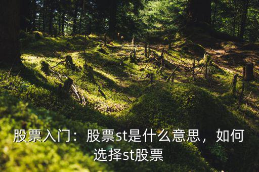 股票入門：股票st是什么意思，如何選擇st股票