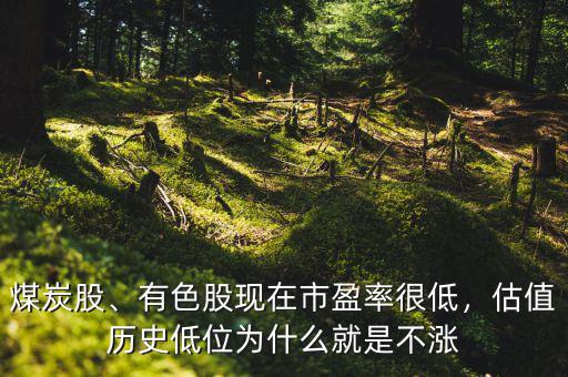 煤炭股、有色股現(xiàn)在市盈率很低，估值歷史低位為什么就是不漲