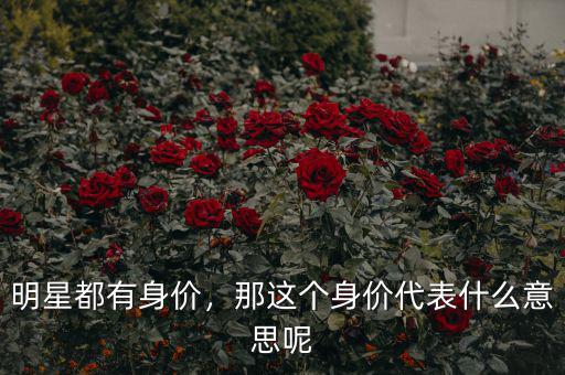 明星都有身價，那這個身價代表什么意思呢