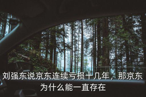 劉強(qiáng)東說京東連續(xù)虧損十幾年，那京東為什么能一直存在