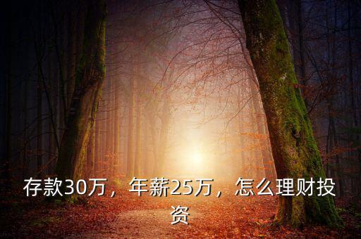 存款30萬(wàn)，年薪25萬(wàn)，怎么理財(cái)投資