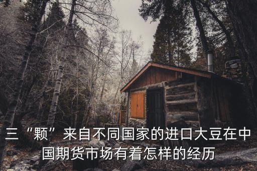 三“顆”來自不同國家的進口大豆在中國期貨市場有著怎樣的經歷
