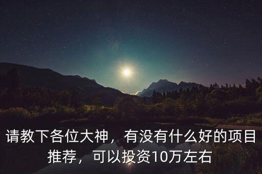請教下各位大神，有沒有什么好的項目推薦，可以投資10萬左右