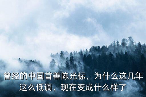 曾經(jīng)的中國(guó)首善陳光標(biāo)，為什么這幾年這么低調(diào)，現(xiàn)在變成什么樣了