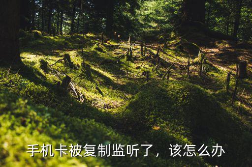 手機(jī)卡被復(fù)制監(jiān)聽(tīng)了，該怎么辦