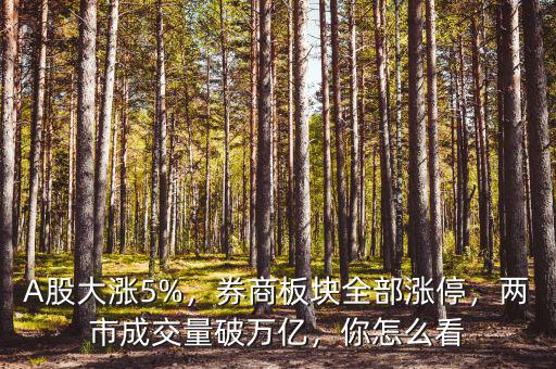 A股大漲5%，券商板塊全部漲停，兩市成交量破萬億，你怎么看