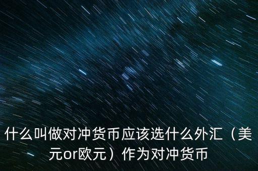 什么叫做對沖貨幣應(yīng)該選什么外匯（美元or歐元）作為對沖貨幣
