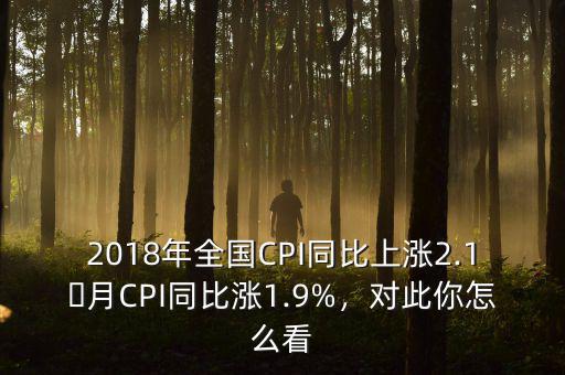 2018年全國(guó)CPI同比上漲2.1月CPI同比漲1.9%，對(duì)此你怎么看