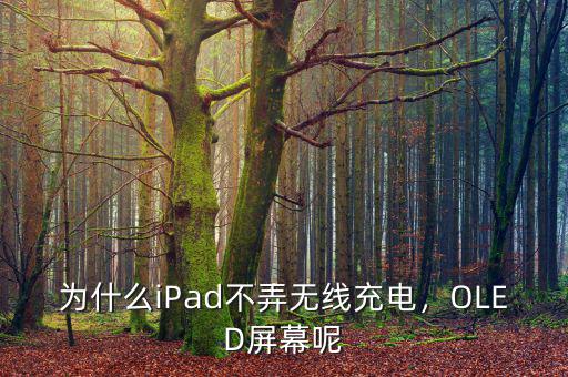 蘋(píng)果為什么不用oled,蘋(píng)果的oled屏幕傷眼嗎