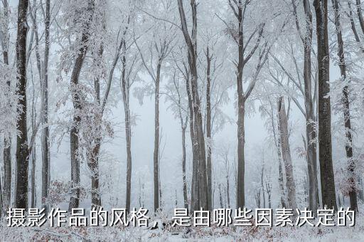 攝影作品的風(fēng)格，是由哪些因素決定的