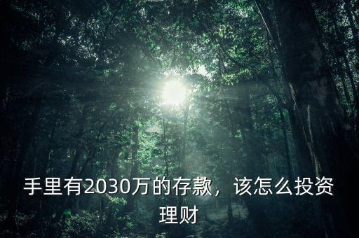 手里有2030萬的存款，該怎么投資理財