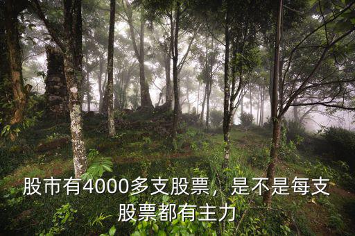 股市有4000多支股票，是不是每支股票都有主力