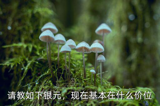 請(qǐng)教如下銀元，現(xiàn)在基本在什么價(jià)位
