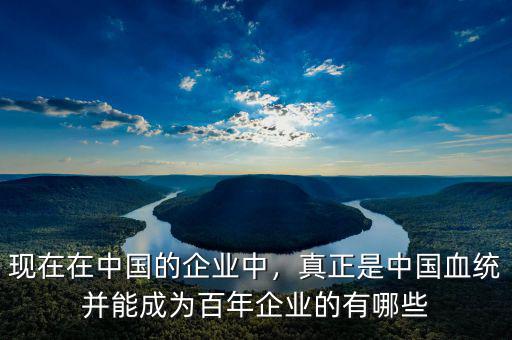 現(xiàn)在在中國的企業(yè)中，真正是中國血統(tǒng)并能成為百年企業(yè)的有哪些