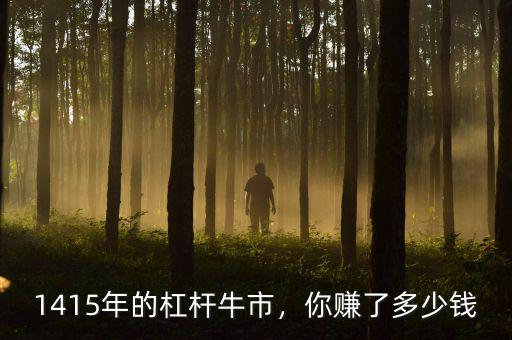 2015牛市賺多少錢(qián),你賺了多少錢(qián)