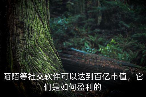 陌陌等社交軟件可以達到百億市值，它們是如何盈利的