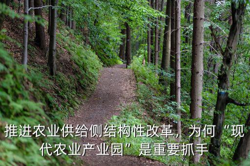推進(jìn)農(nóng)業(yè)供給側(cè)結(jié)構(gòu)性改革，為何“現(xiàn)代農(nóng)業(yè)產(chǎn)業(yè)園”是重要抓手