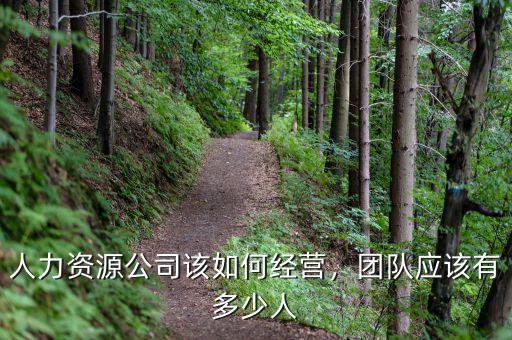 李金元的團(tuán)隊有多少人,團(tuán)隊?wèi)?yīng)該有多少人