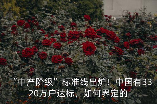 “中產(chǎn)階級”標(biāo)準(zhǔn)線出爐！中國有3320萬戶達(dá)標(biāo)，如何界定的