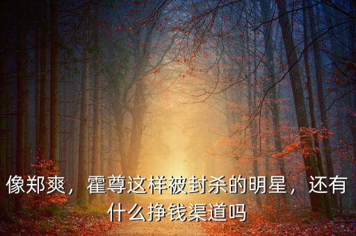 像鄭爽，霍尊這樣被封殺的明星，還有什么掙錢(qián)渠道嗎