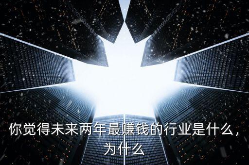 你覺得未來兩年最賺錢的行業(yè)是什么，為什么