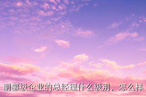 副部級(jí)企業(yè)的總經(jīng)理什么級(jí)別，怎么樣