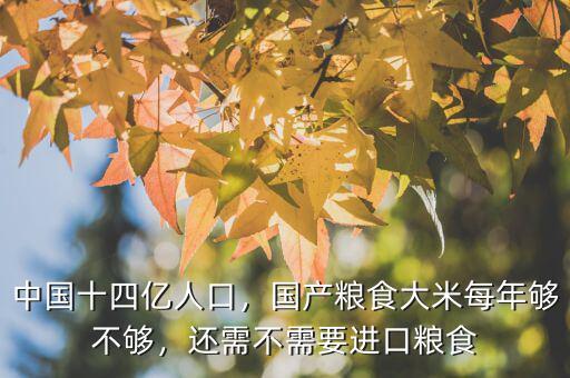 中國(guó)十四億人口，國(guó)產(chǎn)糧食大米每年夠不夠，還需不需要進(jìn)口糧食