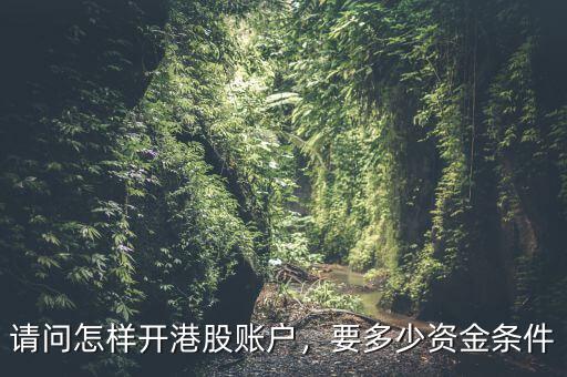 請問怎樣開港股賬戶，要多少資金條件