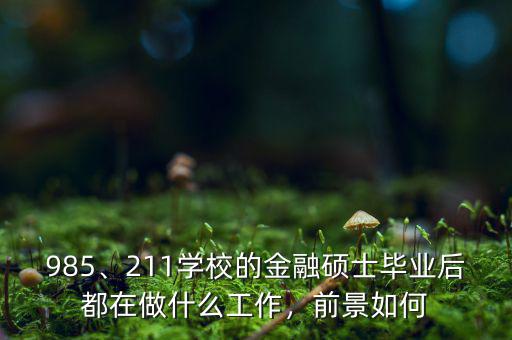 985、211學校的金融碩士畢業(yè)后都在做什么工作，前景如何