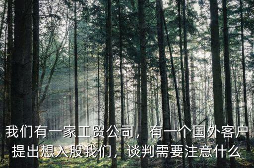 我們有一家工貿(mào)公司，有一個(gè)國外客戶提出想入股我們，談判需要注意什么