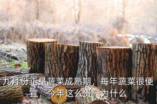 九月份正是蔬菜成熟期，每年蔬菜很便宜，今年這么貴，為什么