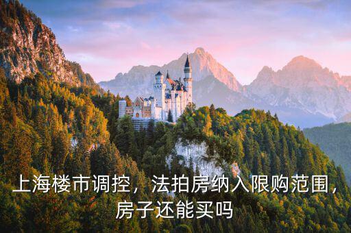 上海樓市調控，法拍房納入限購范圍，房子還能買嗎