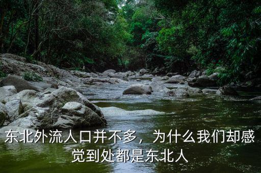 東北外流人口并不多，為什么我們卻感覺到處都是東北人