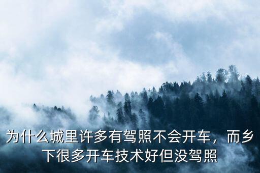 為什么城里許多有駕照不會開車，而鄉(xiāng)下很多開車技術(shù)好但沒駕照