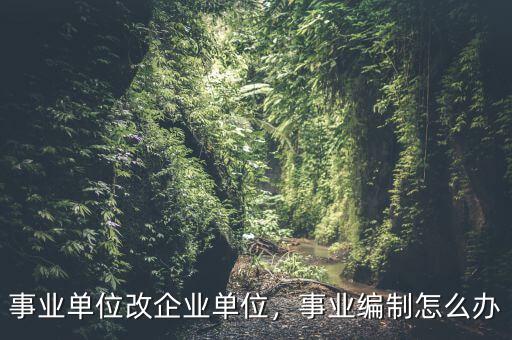 事業(yè)單位改企業(yè)單位，事業(yè)編制怎么辦