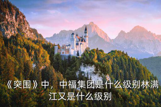 《突圍》中，中福集團(tuán)是什么級別林滿江又是什么級別