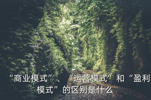 運(yùn)營(yíng)模式是指什么,什么是商業(yè)模式