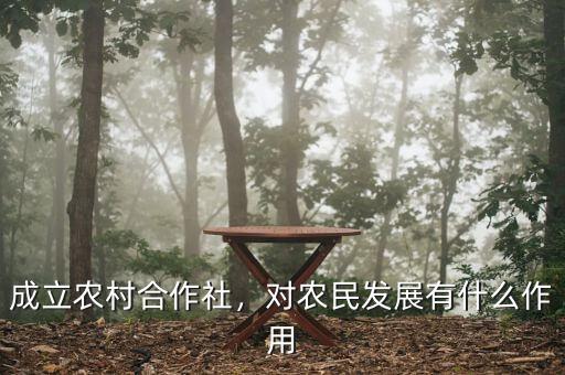 成立農(nóng)村合作社，對農(nóng)民發(fā)展有什么作用