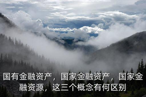 國有金融資產(chǎn)，國家金融資產(chǎn)，國家金融資源，這三個概念有何區(qū)別