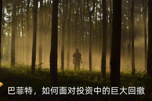巴菲特，如何面對投資中的巨大回撤
