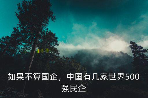 如果不算國企，中國有幾家世界500強(qiáng)民企