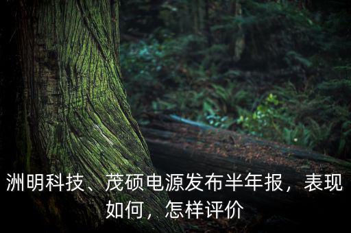洲明科技、茂碩電源發(fā)布半年報，表現(xiàn)如何，怎樣評價