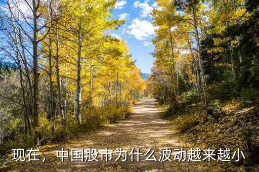 現(xiàn)在，中國股市為什么波動越來越小