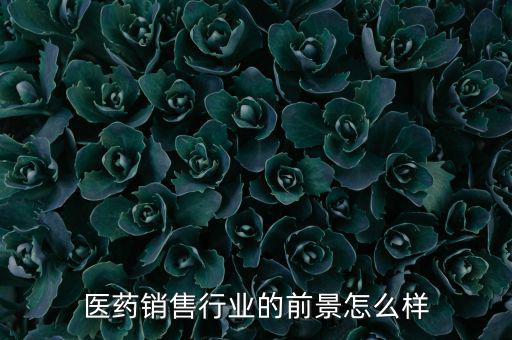 醫(yī)藥銷售行業(yè)的前景怎么樣