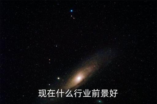 現在什么行業(yè)前景好