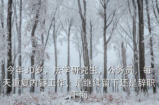 今年30歲，法學(xué)研究生，公務(wù)員，每天重復(fù)內(nèi)容工作，是繼續(xù)留下還是辭職下海