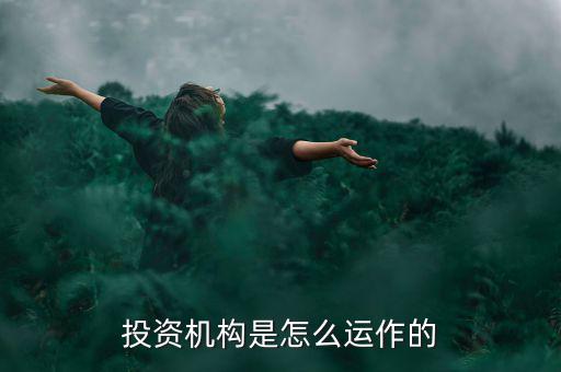 小型投資公司怎么運作,投資機(jī)構(gòu)是怎么運作的