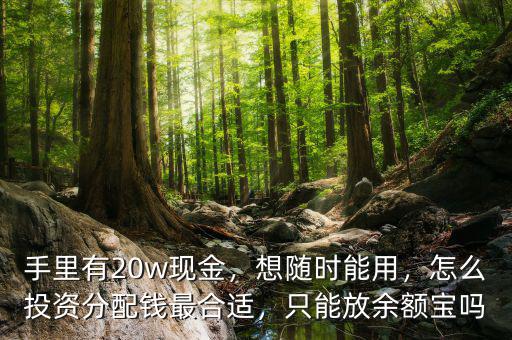 手里有20w現(xiàn)金，想隨時(shí)能用，怎么投資分配錢最合適，只能放余額寶嗎