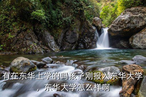 有在東華上學(xué)的嗎孩子剛報(bào)入東華大學(xué)，東華大學(xué)怎么樣啊
